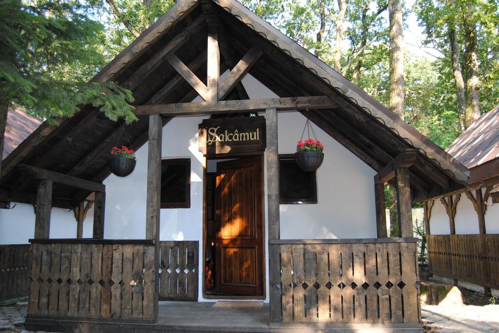 Cornul Vanatorului Bungalows Piteşti Quarto foto
